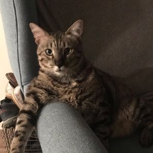 Meet your Posher, Evann